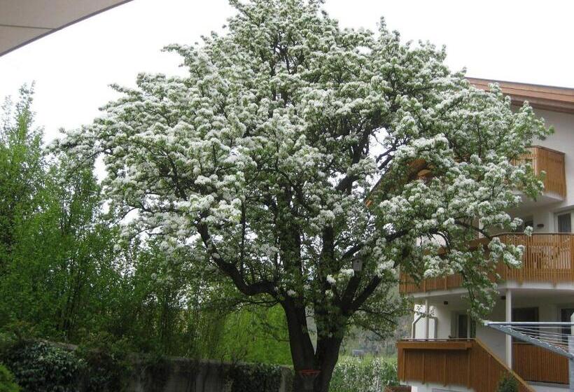 Bed and Breakfast Garni Appartment Wagnerhof