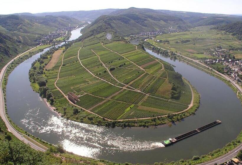 ベッドアンドブレックファースト Mosel   River   Quartier 31