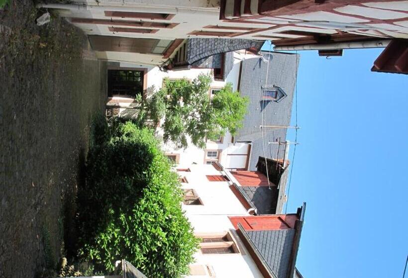 ベッドアンドブレックファースト Mosel   River   Quartier 31