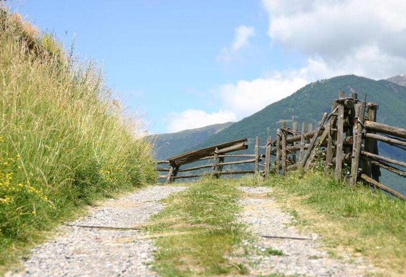Bed and Breakfast Tirolerin Garni