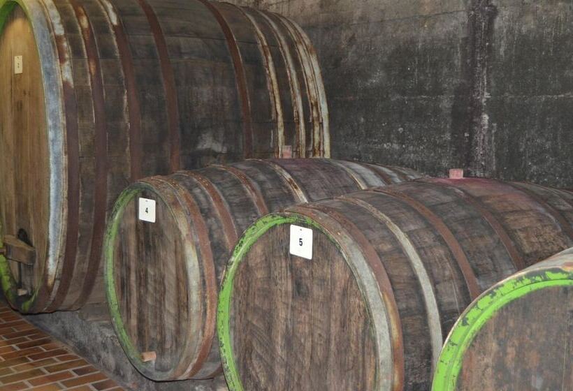 ベッドアンドブレックファースト Weingut H. Gindorf