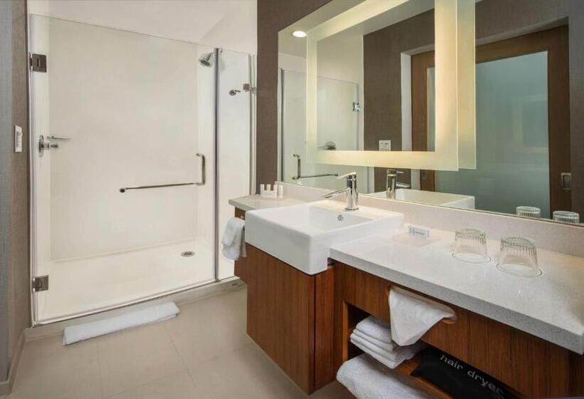 酒店 Springhill Suites By Marriott Gainesville Haymarket