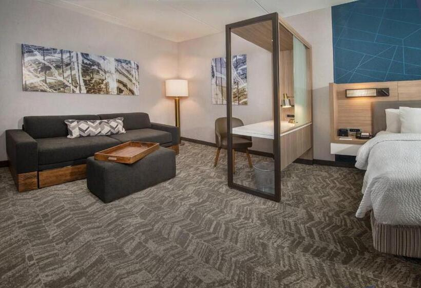 酒店 Springhill Suites By Marriott Gainesville Haymarket