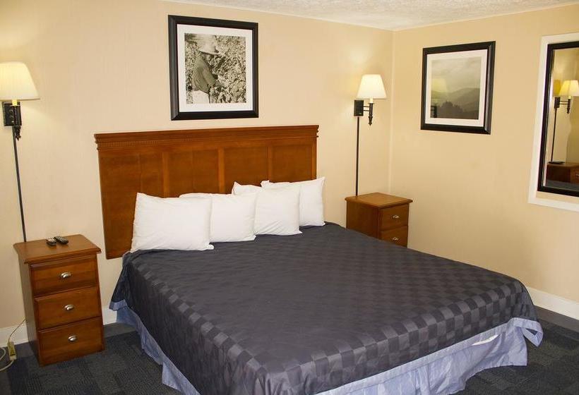 汽车旅馆  Budget Inn