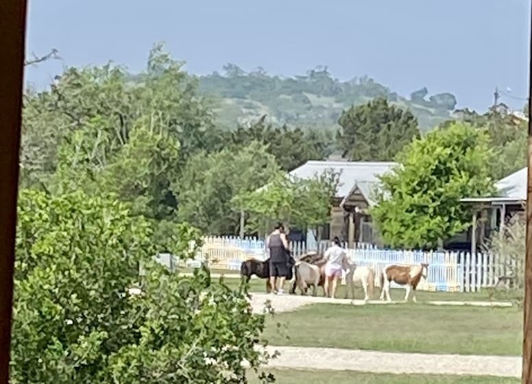 민박 City On A Hill At Spring Creek