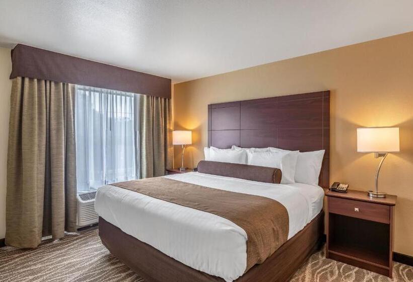 Cobblestone Hotel & Suites   Stevens Point