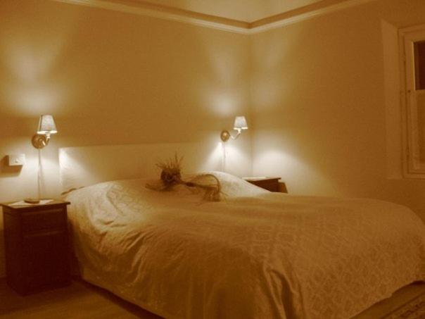 فندق Locanda Andrea Da Carlo