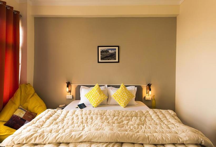 Общежитие Zostel Dharamkot