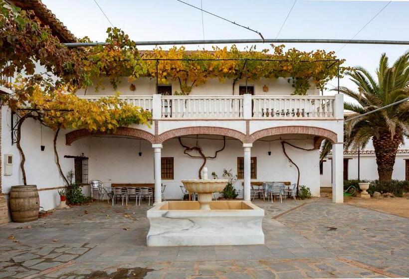 Отель Almazara De Paulenca