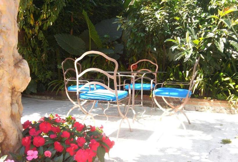 فندق La Casona Breakfast & Wellness Center