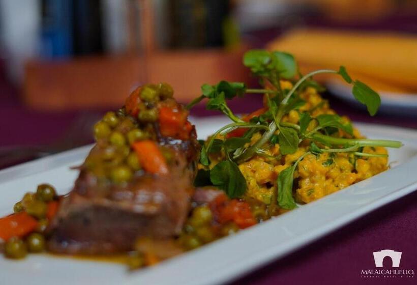 منتجع Malalcahuello Thermal Hotel & Spa