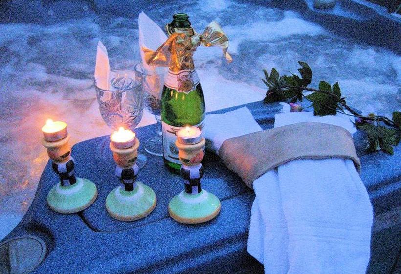 A Cayuga Lakefront Inn   Hotel Alt, Ithaca New York