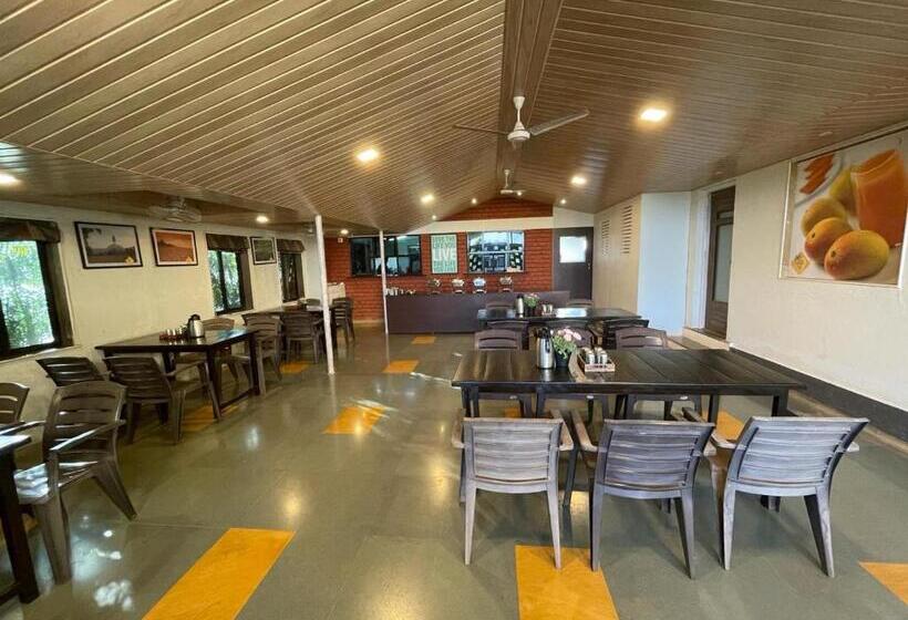 مبيت وإفطار The Mango Inn
