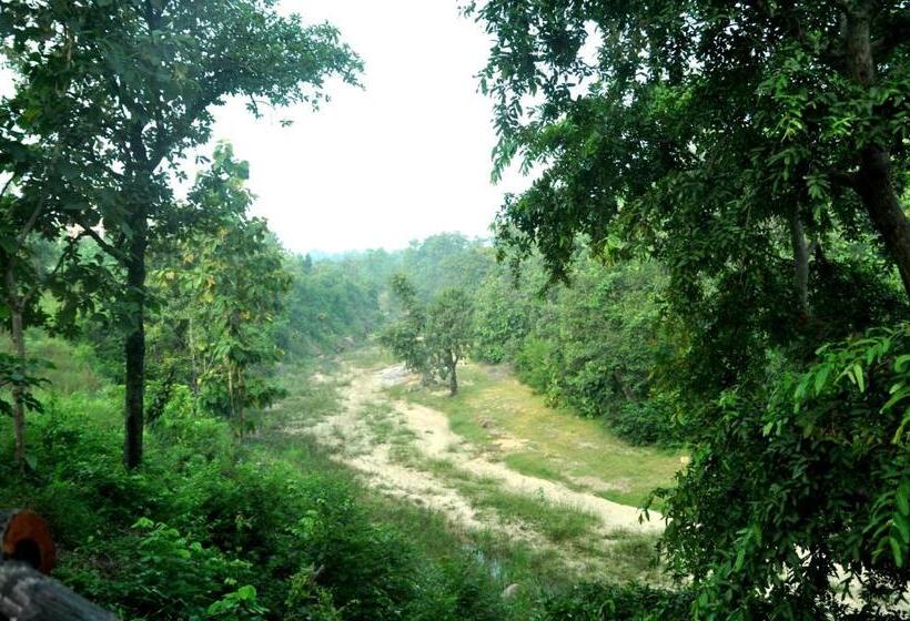 リゾートホテル The Riverwood Forest Retreat Pench