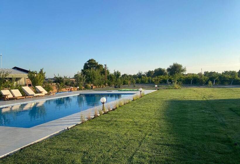 تختخواب و صبحانه Casa Mora Zeytinli