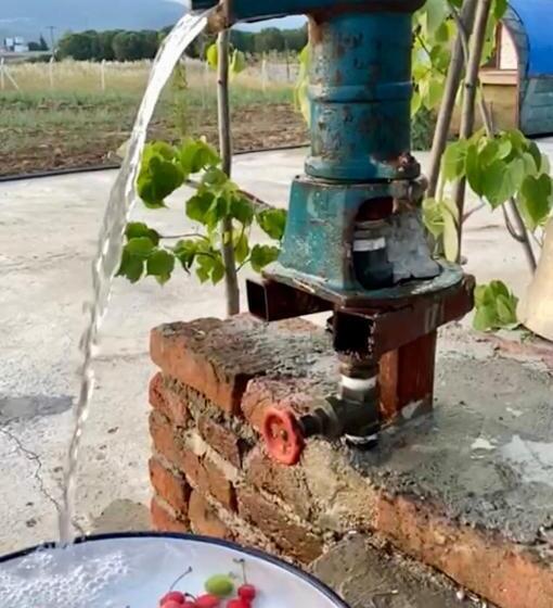 تختخواب و صبحانه Casa Mora Zeytinli