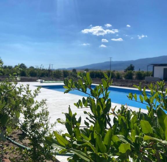تختخواب و صبحانه Casa Mora Zeytinli