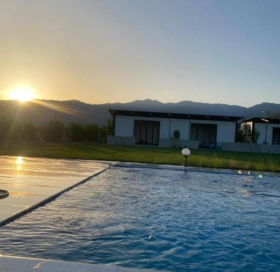 تختخواب و صبحانه Casa Mora Zeytinli