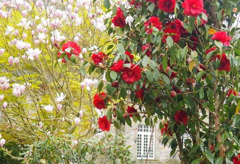 مبيت وإفطار Chambre D Hôtes De L île