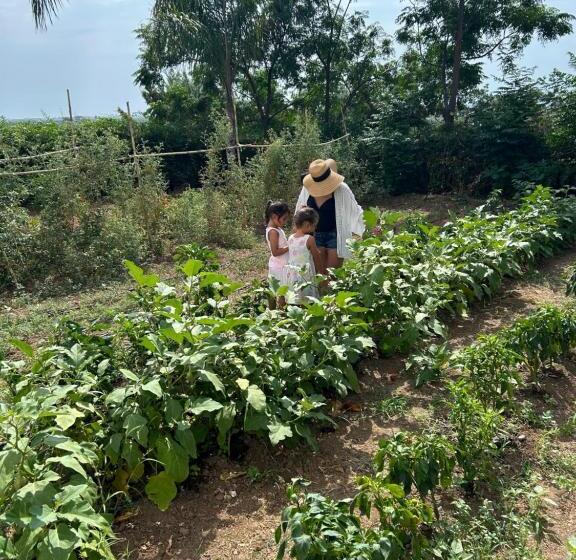 مبيت وإفطار Masseria Novelli