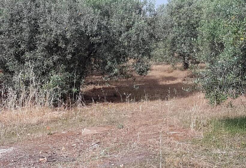 مبيت وإفطار Masseria Novelli