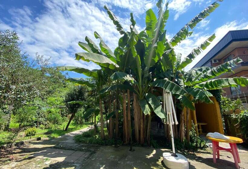 پانسیون Totoro