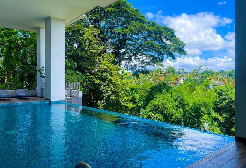 Sea And Mountain Collections