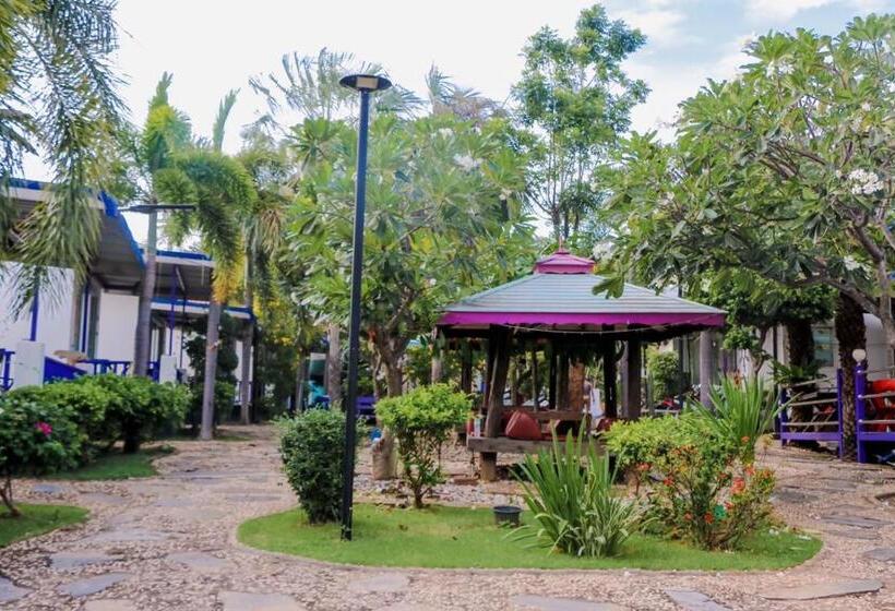 The Light House Resort   Kohlarn เดอะไลท์เฮ้าส์รีสอร์ท เกาะล้าน