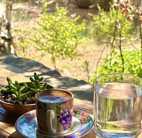 호텔 Pure Life Göcek