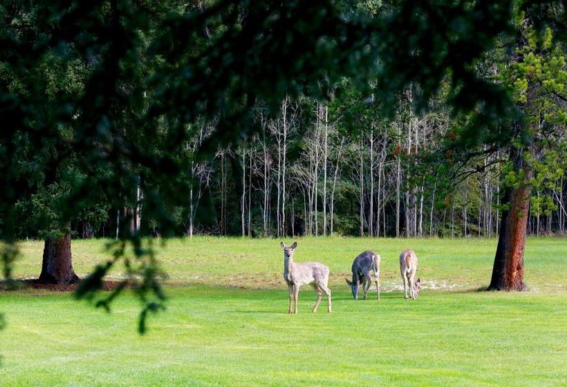 مبيت وإفطار Sleepy Creek Country Manor