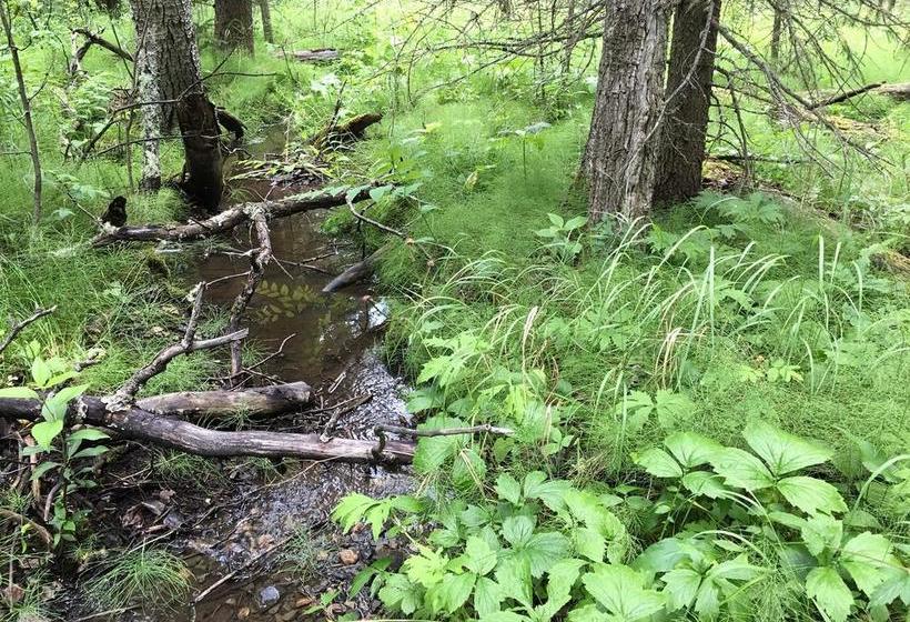 مبيت وإفطار Sleepy Creek Country Manor