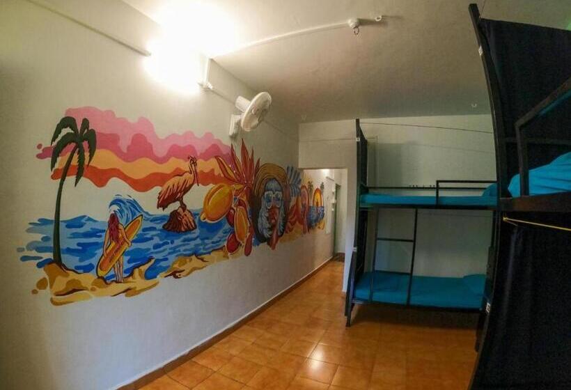 Mandala House   Party Hostel