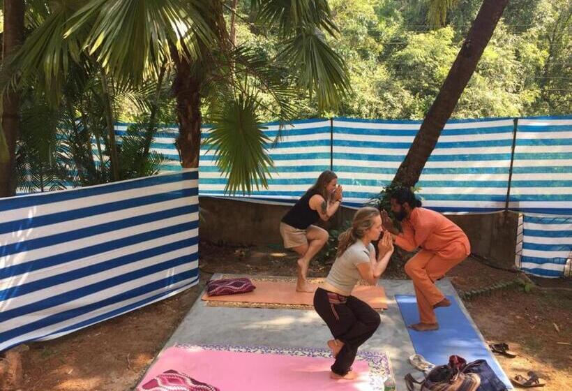 Mandala House   Party Hostel