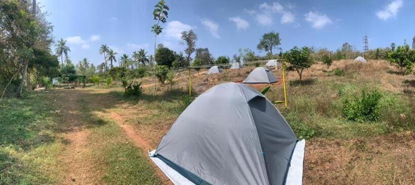 酒店 Wilderness Jungle Camp