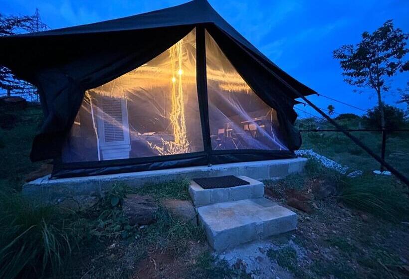 酒店 Wilderness Jungle Camp