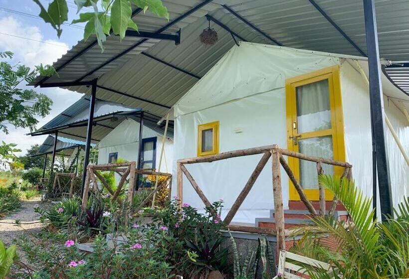 酒店 Wilderness Jungle Camp