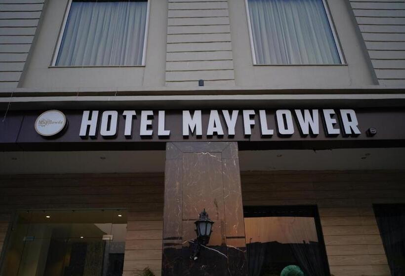 Отель Mayflower