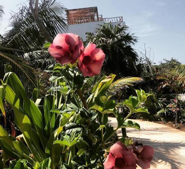 Ikal Island Garden   Adults Only