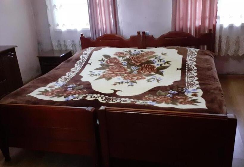 پانسیون Guest Home Irma