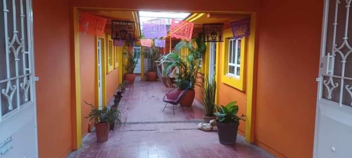 پانسیون Hostal Zipolite Melchor Ocampo