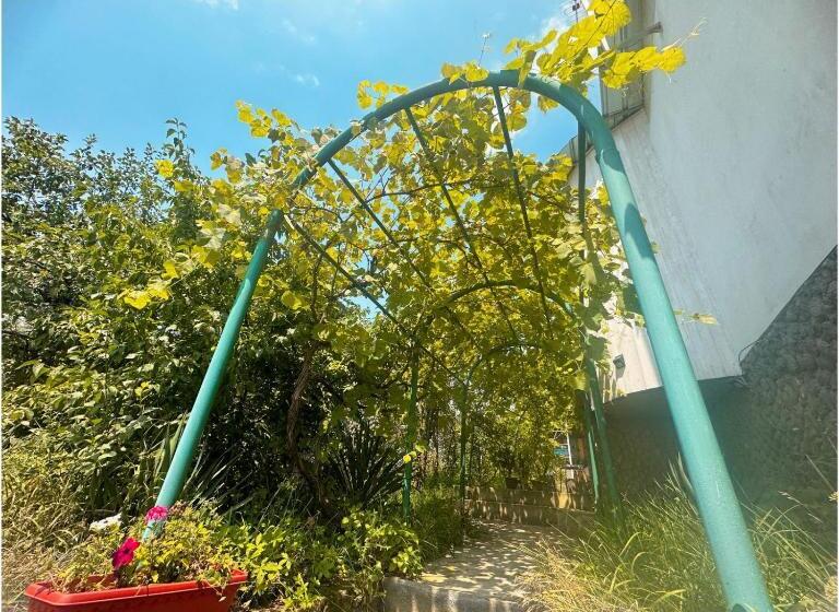 Пансион Paloma Bed And Breakfast