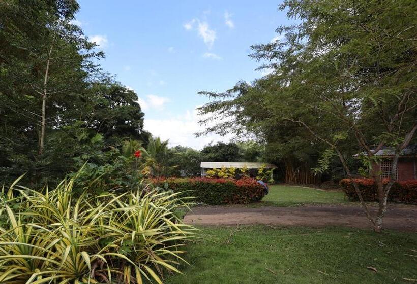 فندق Green Path   Banquet Hall And Resort