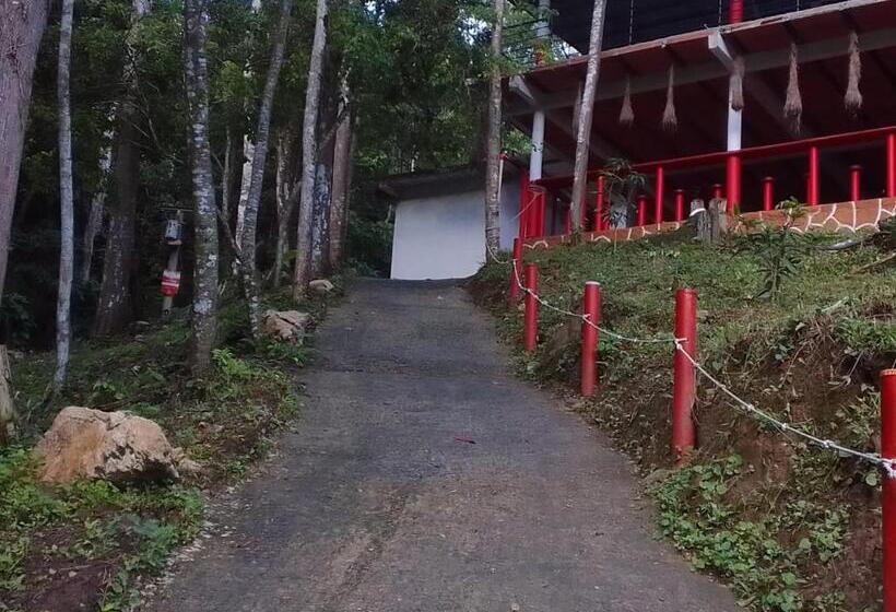 پانسیون Hostal La Gran Ceci