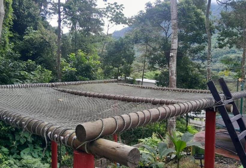 پانسیون Hostal La Gran Ceci