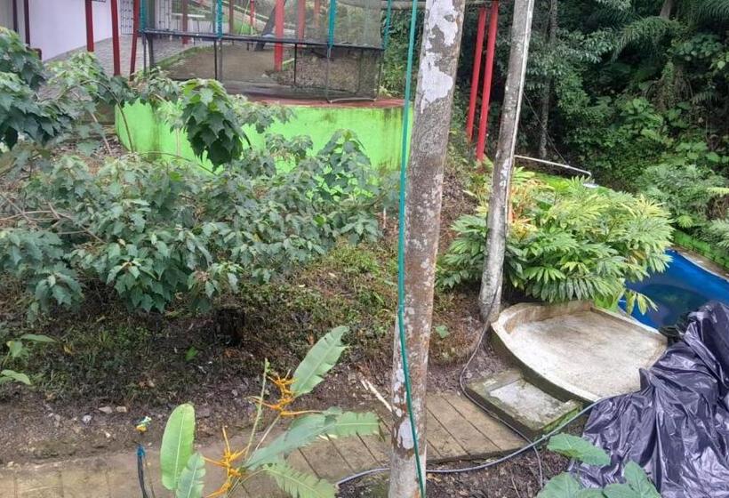 پانسیون Hostal La Gran Ceci