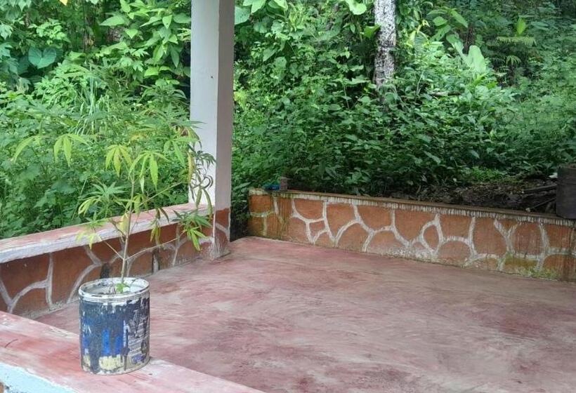 پانسیون Hostal La Gran Ceci