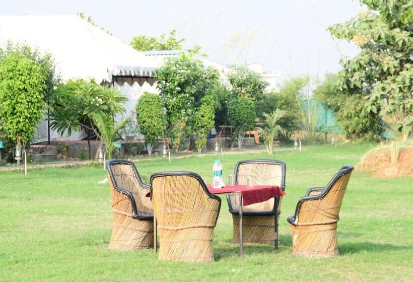 منتجع Jungle Enclave   Ranthambore