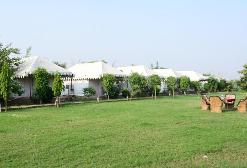 منتجع Jungle Enclave   Ranthambore