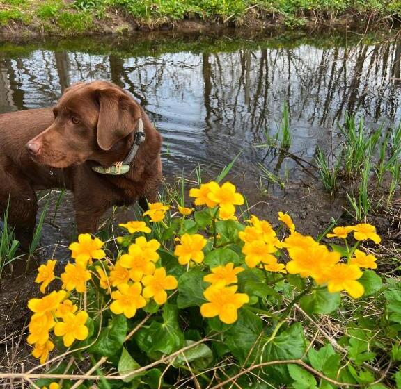 민박 Bio Hof Lexmühle
