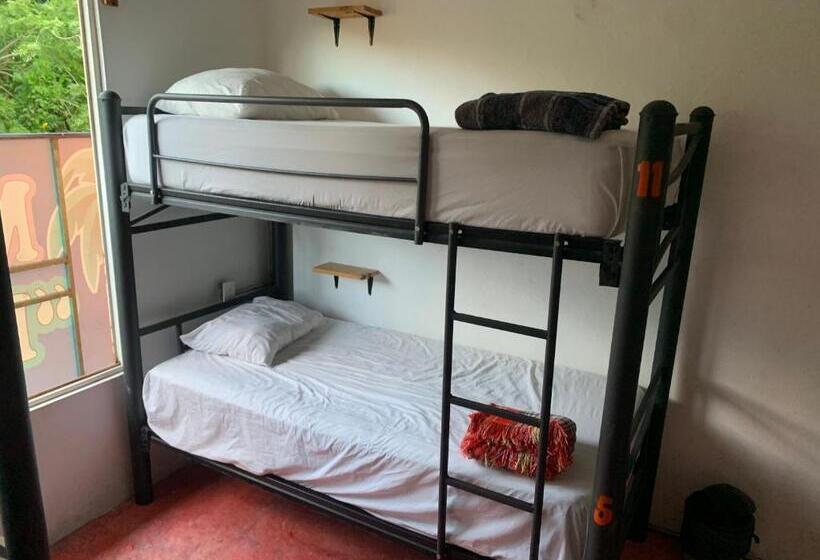 پانسیون Anamaya Hostal